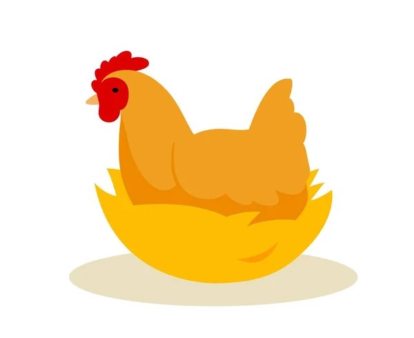 Tavuk Yuvada Konsept Kanatları Tüyleri Olan Hayvanlar Yumurtanın Üstüne Oturur — Stok Vektör
