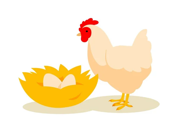 Κοτόπουλο Κοντά Φωλιά Έννοια Ζώο Φτερά Και Φτερά Κοιτά Αυγά — Διανυσματικό Αρχείο