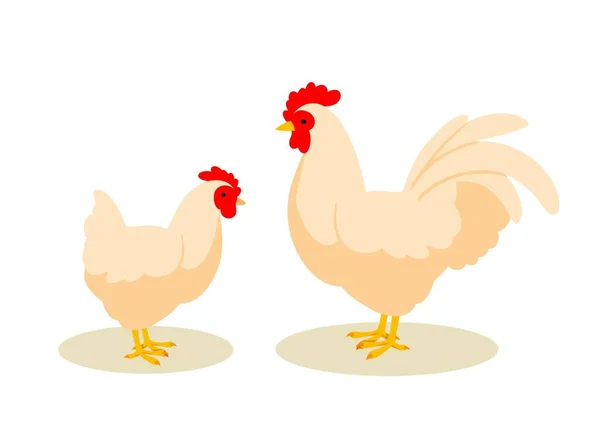 Ibu Ayam Dengan Anak Chick Melihat Ayam Jantan Dan Ayam - Stok Vektor