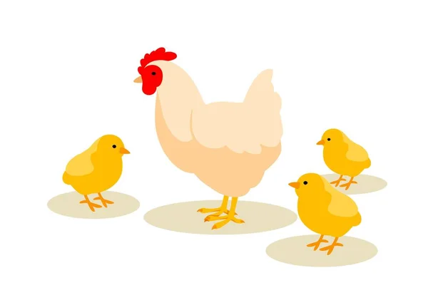 Ibu Ayam Dengan Anak Ayam Burung Dan Hewan Bersayap Dengan - Stok Vektor