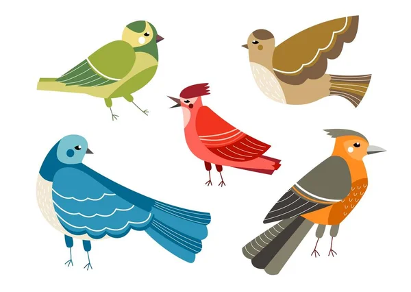 鳥のセット 羽と翼を持つカラフルな小さな動物のコレクション 鳥類学や動物学 動物学 野生生物学などです 白い背景に隔離された漫画の平らなベクトルのイラスト — ストックベクタ