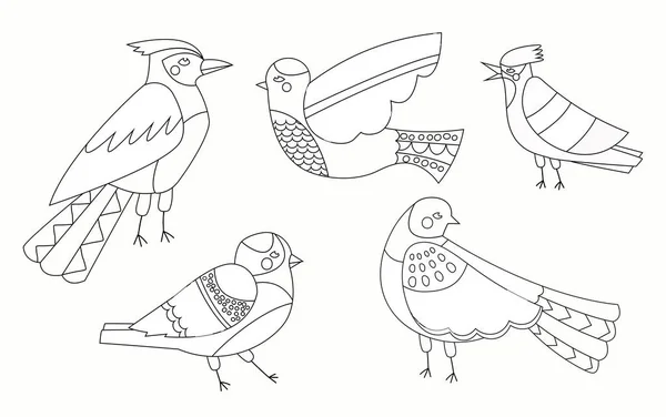 Väritys Sivu Lintujen Asetettu Kokoelma Oppimateriaalia Lapsille Höyheniä Siivekkäitä Eläimiä — vektorikuva