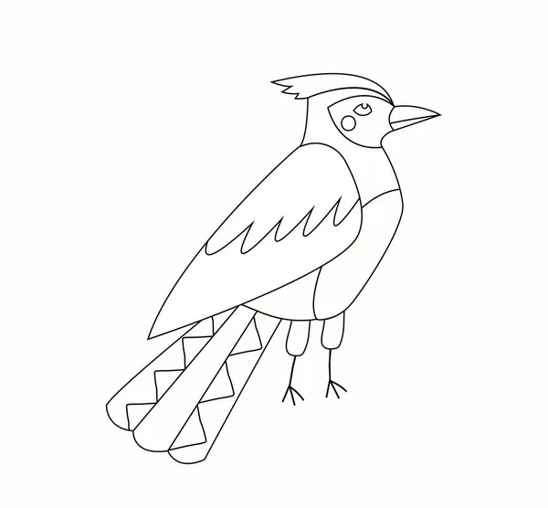 鳥とカラーリングのページ 生物学や天文学 動植物 野生生物 自然についてです 子供のための教育材料 創造的なスキルの開発 漫画フラットベクターイラスト — ストックベクタ