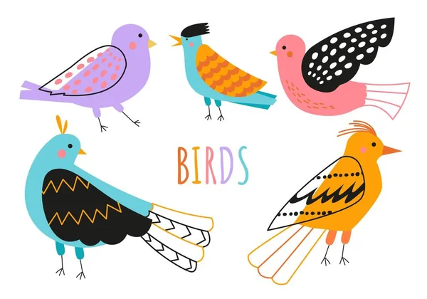 落書きの鳥のセット ウェブサイトのグラフィック要素の収集 天文学 動物学 そして生物学 羽と翼を持つ動物たち 白い背景に隔離された漫画の平らなベクトルのイラスト — ストックベクタ