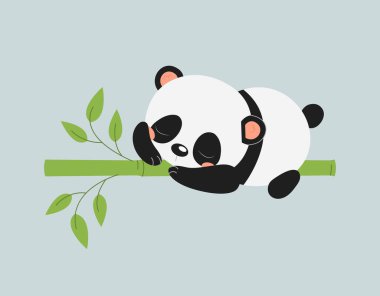 Tatlı panda bambuda uyur. Asya bitki örtüsü ve hayvan, tembel karakter rüyası. Dinlen ve iyileş. Web sitesi afişi ya da afişi. Mutlu hayvan. Çizgi film düz vektör çizimi