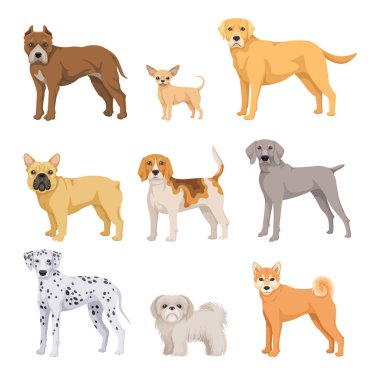 Set of different breeds of dogs. Stickers with cute fluffy puppies, dalmatians, chihuahua, french bulldog, shiba inu, terrier and labrador. Cartoon flat vector collection isolated on white background clipart