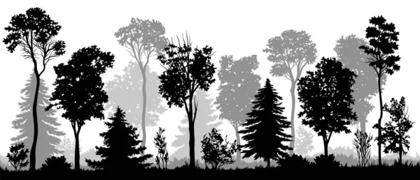 森の景観シルエット 黒と白のバナー 森林または植物が付いている自然保護のパノラマ 白い背景に隔離された漫画の平らなベクターのイラスト — ストックベクタ