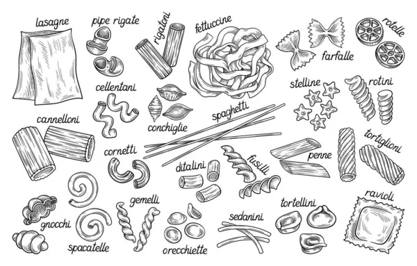 Set Bocetos Pasta Italiana Iconos Con Diferentes Tipos Macarrones Ingredientes — Vector de stock
