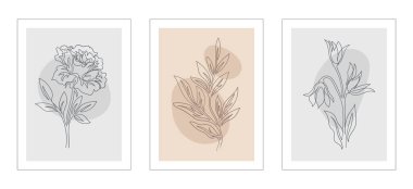 Bir dizi botanik posteri. Bitkilerin, yaprakların ve çiçek açan çiçeklerin olduğu minimalist organik kartpostallar. Estetik duvar sanatı. Çizgi film düz vektör koleksiyonu beyaz arkaplanda izole edildi