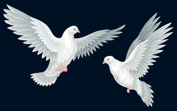 漂亮的白鸽海报上有两只鸟 象征着和平与善良 邀请函和社交网络的设计元素 在黑色背景上孤立的卡通真实感矢量图解 — 图库矢量图片