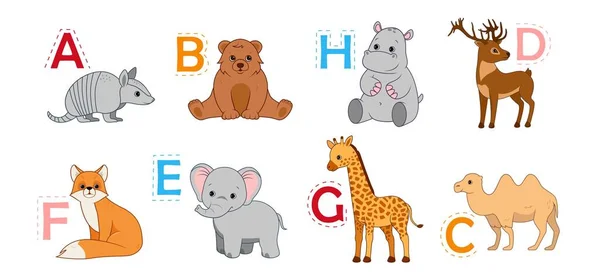 Alphabet Animals Set Collection Mammals Letters Education Learning Materials Children — Stock Vector