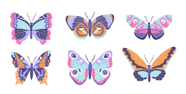 五彩斑斓的蝴蝶 为网站收集图形元素 美学与典雅 春天的象征 在白色背景上孤立的卡通平面矢量插图 — 图库矢量图片