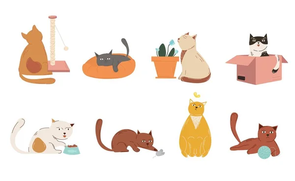 Conjunto Gatos Brincalhões Coleção Elementos Gráficos Para Site Gatinhos Animais —  Vetores de Stock