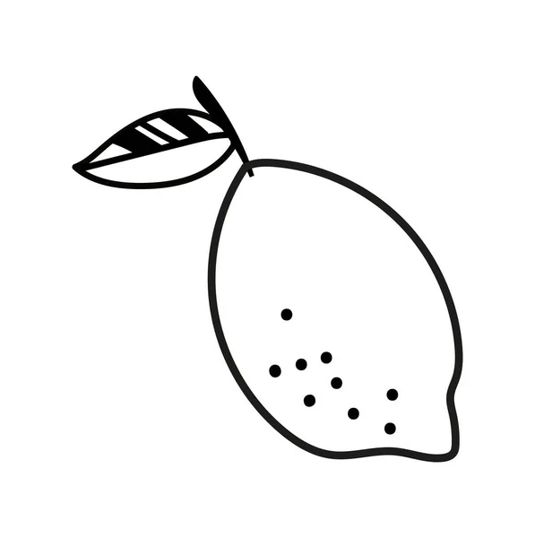 Citron Stylu Doodle Ovoce Přírodní Čerstvé Ekologické Produkty Symbol Letní — Stockový vektor