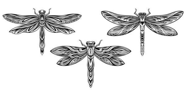 一组直线蜻蜓 收集具有美丽图案的昆虫 美学与高雅 几何图形的老式纹身 在白色背景上孤立的卡通平面矢量插图 — 图库矢量图片