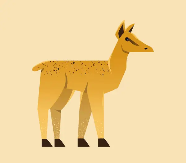 Animal Sauvage Africain Jolie Petite Chevreuil Antilope Habitant Savane Jungle — Image vectorielle