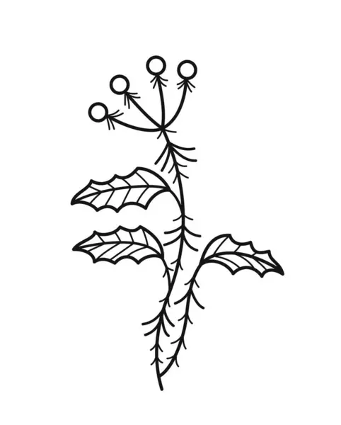 简约的花卉分枝 手绘不寻常的田野或野生植物 植物和植物学 标志的有机设计元素 在白色背景上孤立的卡通平面矢量图解 — 图库矢量图片