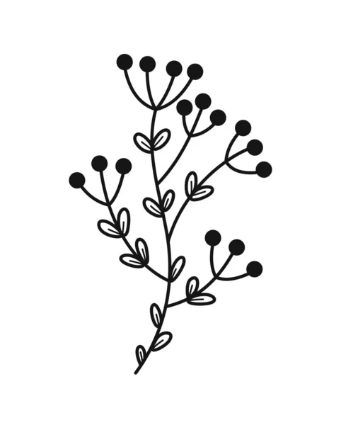 简约的花卉分枝 手绘图标与不寻常的野草或植物 优雅的野花 婚礼邀请函的设计元素 在白色背景上孤立的卡通平面矢量图解 — 图库矢量图片