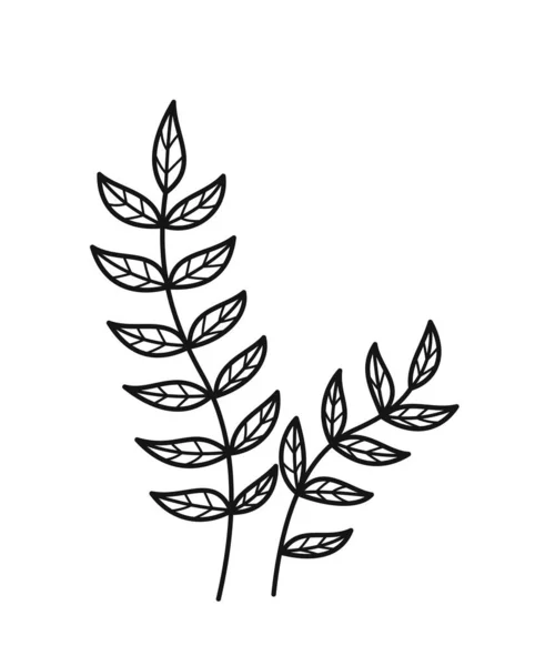 Minimalistisk Blommig Gren Handritad Ikon Med Ormbunksblad Eller Vilda Skogsplantor — Stock vektor