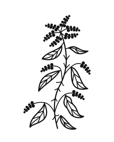 Minimalistisk Blommig Gren Handritad Ikon Med Växande Gräs Eller Blommande — Stock vektor
