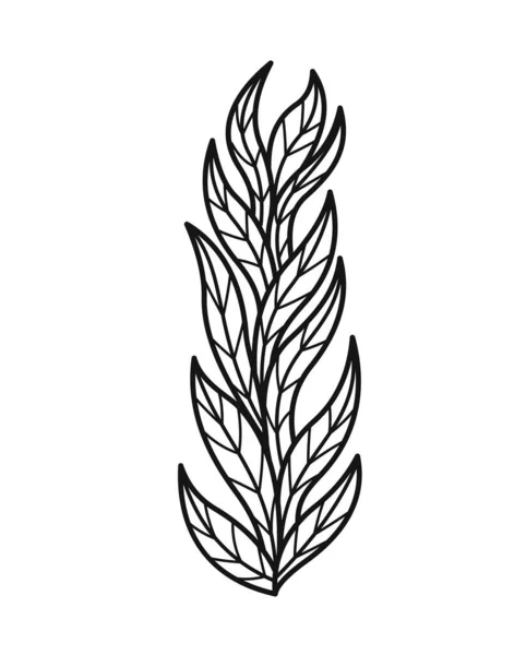 Minimalistischer Floraler Zweig Handgezeichnetes Symbol Mit Wildpflanze Oder Wegerich Blättern — Stockvektor