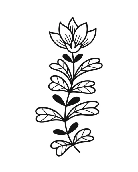 Minimalistisk Blommig Gren Handritad Ekologisk Ikon Med Blommande Blomma Med — Stock vektor
