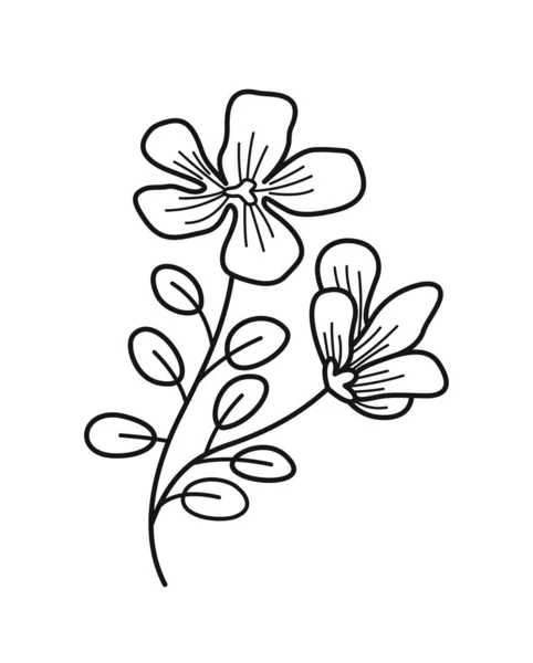 简约的花卉分枝 手绘图标与可爱的花园花或开花的植物 自然与植物学 标志的有机设计元素 在白色背景上孤立的卡通平面矢量图解 — 图库矢量图片