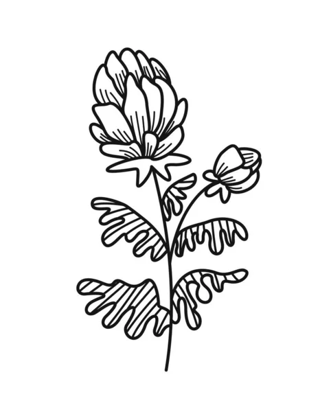 简约的花卉分枝 优雅的田园植物或开着花的叶子 手绘图标 婚礼邀请函的设计元素 在白色背景上孤立的卡通平面矢量图解 — 图库矢量图片
