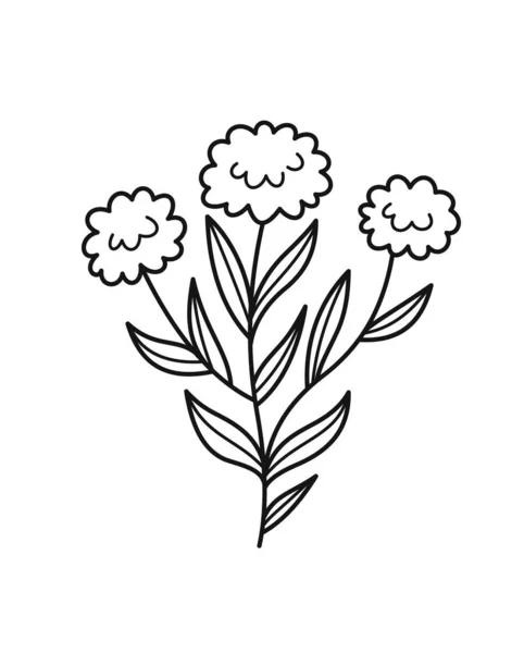 简约的花卉分枝 手绘蒲公英花蕾图标 开花的田间植物 杂草或青草 标志的有机设计元素 在白色背景上孤立的卡通平面矢量图解 — 图库矢量图片