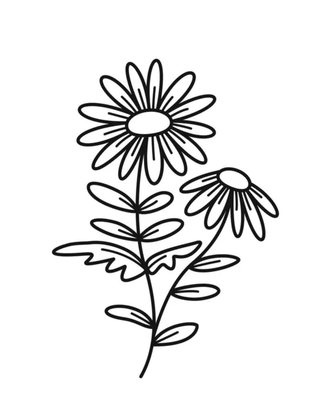Minimalistisk Blommig Gren Handritad Ikon Med Vacker Fältkamomill Ekologisk Vild — Stock vektor