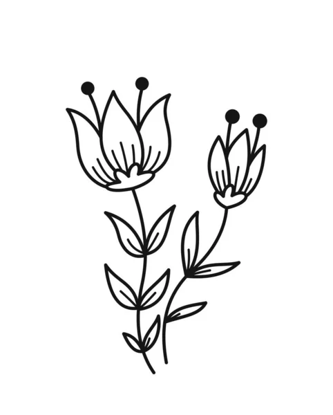 简约的花卉分枝 手绘图标与典雅的花朵或植物 园艺和植物 婚礼邀请函的设计元素 在白色背景上孤立的卡通平面矢量图解 — 图库矢量图片