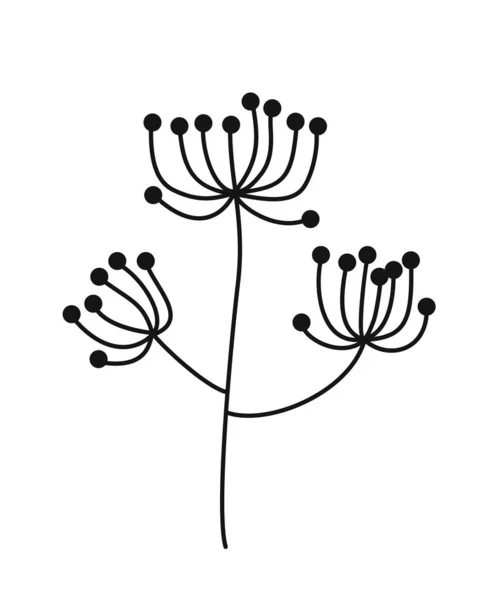 简约的花卉分枝 手绘图标与野生植物与细茎 植物和香草生长 标志的设计元素 在白色背景上孤立的卡通平面矢量图解 — 图库矢量图片