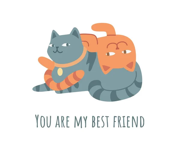 Cats Friends Concept Orange Kitten Lies Gray One Adorable Animals — Stock Vector