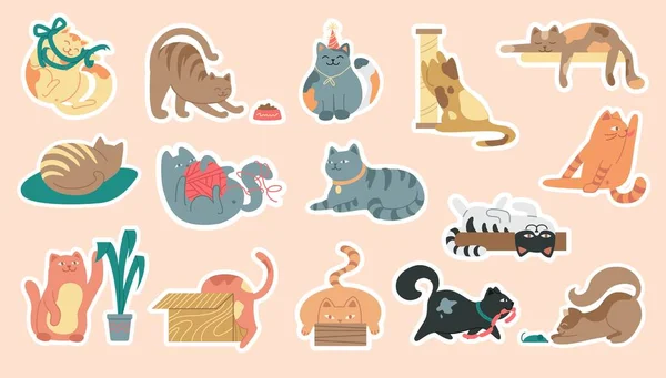Cats Stickers Set Playful Multicolored Kittens Various Positions — Stock Vector