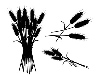 Saman siluetleri hazır. Web sitesi için grafik elementlerin toplanması. Estetik ve zarafet, minimalist yaratıcılık ve sanat. Beyaz arkaplanda izole edilmiş çizgi film düz vektör çizimleri