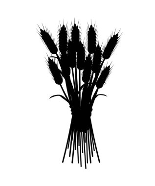 Buğday silueti dikenli. Web sitesi afişi ya da afişi. Un ürünleri. Minimalist logosu ve markası. Doğal ve organik ürün, bitki örtüsü ve tarım. Çizgi film düz vektör çizimi