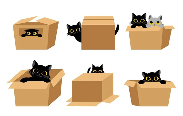 Kutu Seti Olan Kara Kediler Web Sitesi Için Grafik Elementlerin — Stok Vektör