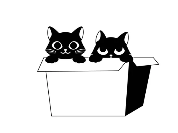 Black Cat Box Doodle Two Kitten Friends Sitting Cardboard Box — Stock Vector