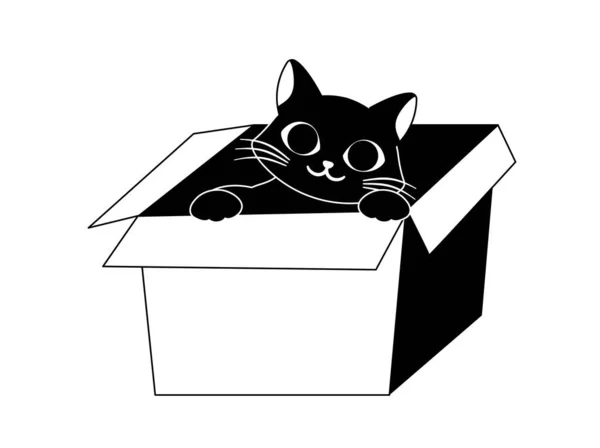 箱の落書きが付いている黒猫 Webサイトのポスターまたはバナー 生地に印刷するためのグラフィックエレメント 最小限のロゴ 快適さと快適さ 子猫や動物の世話をする 漫画フラットベクターイラスト — ストックベクタ