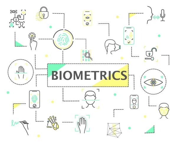 stock vector Biometrics line set. Collection of graphic elements for website, poster or banner. Personal data, security, safety and protection. Cartoon flat vector illustrations isolated on white background