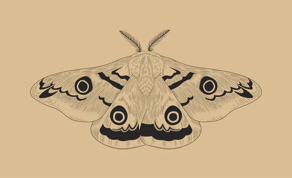 Concept Papillon Ligne Inachis Insecte Aux Ailes Affiche Bannière Pour — Image vectorielle