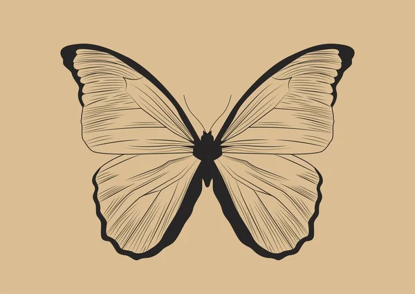 线蝴蝶的概念 有翅膀的昆虫 美学与高雅 时尚与时尚 纹身的素描 卡通平面矢量插图 — 图库矢量图片