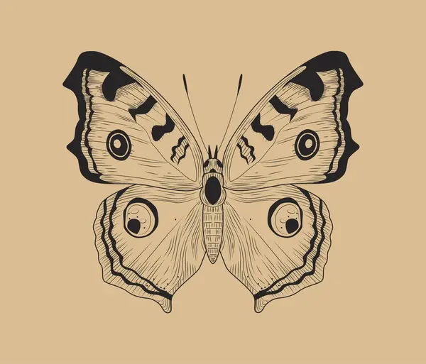 线蝴蝶的概念 有翅膀的昆虫 儿童教育材料 生物学 动物学和动物学 飞禽走兽卡通平面矢量插图 — 图库矢量图片