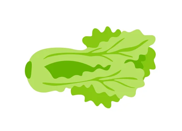 健康食品アイコン 緑のレタスまたは新鮮なキャベツが付いているステッカー 有機野菜と天然野菜をパイプする 農業と収穫について 健康的なダイエット 白い背景に隔離された漫画の平らなベクターのイラスト — ストックベクタ