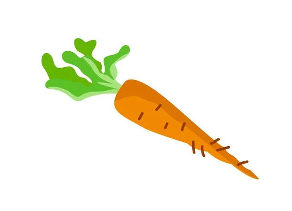 Icono Comida Saludable Pegatina Colorida Con Zanahorias Frescas Maduras Producto — Vector de stock