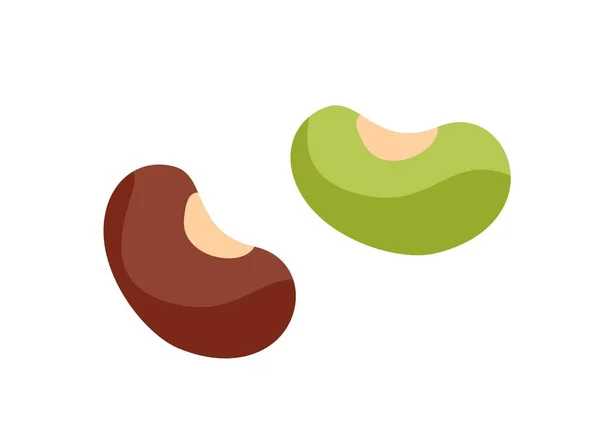 Ikon Makanan Sehat Stiker Dengan Kacang Delicious Produk Segar Sumber - Stok Vektor