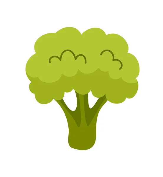 Ikona Zdrowej Żywności Naklejka Świeżym Brokułem Produkt Organiczny Lub Warzywo — Wektor stockowy