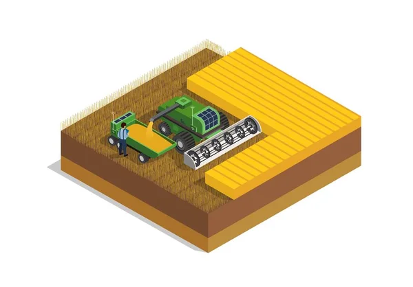 Boerderij Met Tractor Procesautomatisering Machine Voor Oogsten Tarwe Landbouw Landbouw — Stockvector