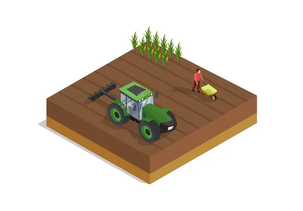 stock vector Farm field with tractor. Girl collects corn with cart, harvest, natural and organic product. Rural and farming, village and rural area. Cartoon isometric vector illustration