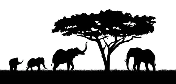 Silhouette Von Elefanten Und Baum Afrikanische Savanne Und Tiere Dschungel — Stockvektor